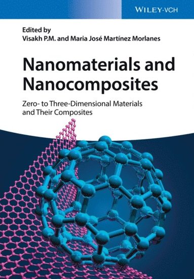 Nanomaterials and Nanocomposites (e-bok)