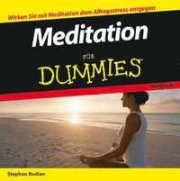 Meditation fr Dummies Hrbuch (cd-bok)