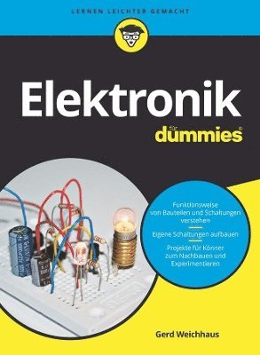 Elektronik fr Dummies (hftad)