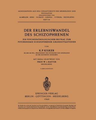 Der Erlebniswandel des Schizophrenen (inbunden)