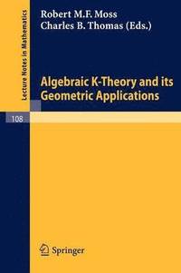 Algebraic K-Theory and its Geometric Applications (häftad)