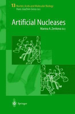 Artificial Nucleases (inbunden)