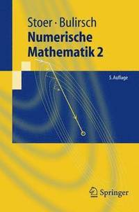 Numerische Mathematik 2 (häftad)