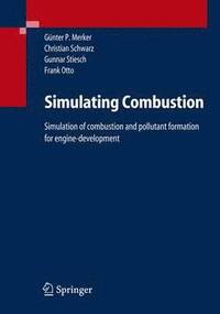 Simulating Combustion (hftad)