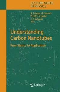 Understanding Carbon Nanotubes (inbunden)