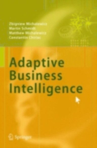 Adaptive Business Intelligence (e-bok)