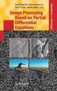 Image Processing Based on Partial Differential Equations (inbunden)