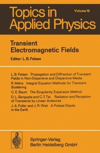 Transient Electromagnetic Fields (e-bok)