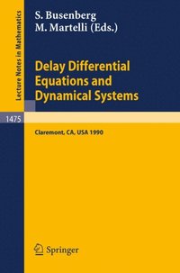 Delay Differential Equations and Dynamical Systems (e-bok)