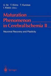 Maturation Phenomenon in Cerebral Ischemia II (häftad)