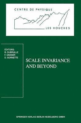 Scale Invariance and Beyond (hftad)