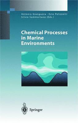 Chemical Processes in Marine Environments (inbunden)