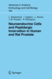 Neuroendocrine Cells and Peptidergic Innervation in Human and Rat Prostrate (e-bok)