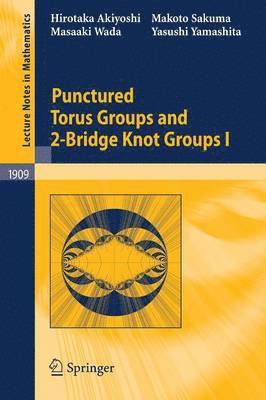 Punctured Torus Groups and 2-Bridge Knot Groups (I) (hftad)