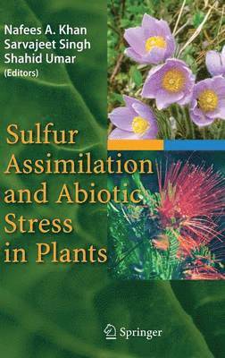 Sulfur Assimilation and Abiotic Stress in Plants (inbunden)