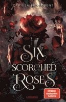 Six Scorched Roses (Crowns of Nyaxia) (hftad)