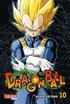 Dragon Ball Massiv 10