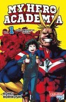 My Hero Academia 01 (hftad)