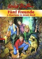 Fnf Freunde - 3 Abenteuer in einem Band (inbunden)