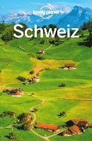 Lonely Planet Reiseführer Schweiz (häftad)