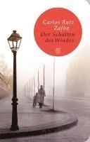 Der Schatten des Windes (häftad)