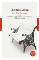 Der Zauberberg (hftad)