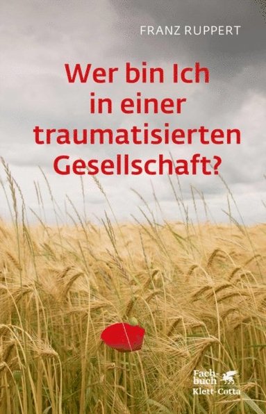 Wer bin ich in einer traumatisierten Gesellschaft? (e-bok)