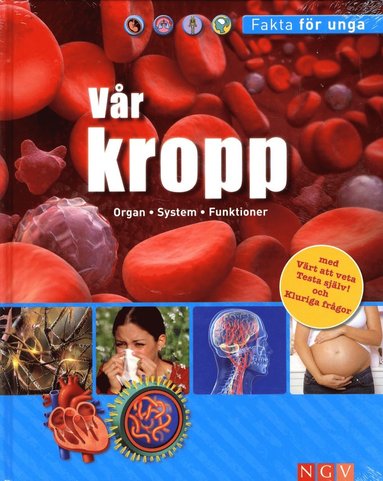 Vr kropp Organ System Funktioner (inbunden)