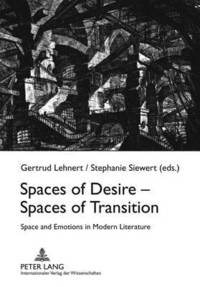 Spaces of Desire  Spaces of Transition (häftad)