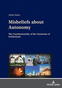 Misbeliefs about Autonomy (e-bok)
