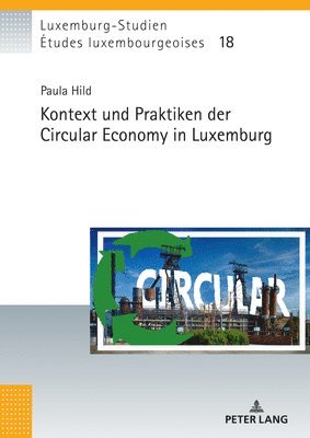 Kontext und Praktiken der Circular Economy in Luxemburg (inbunden)