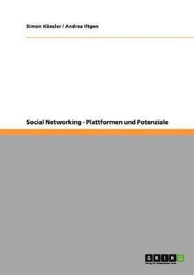 Social Networking. Plattformen Und Potenziale (hftad)