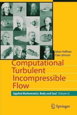 Computational Turbulent Incompressible Flow (hftad)