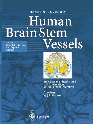 Human Brain Stem Vessels (inbunden)