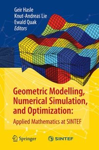 Geometric Modelling, Numerical Simulation, and Optimization: (häftad)