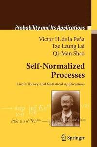Self-Normalized Processes (hftad)