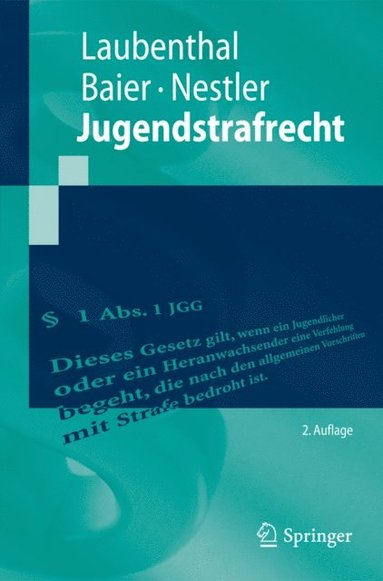 Jugendstrafrecht (häftad)