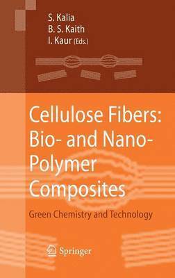 Cellulose Fibers: Bio- and Nano-Polymer Composites (inbunden)