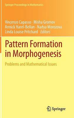 Pattern Formation in Morphogenesis (inbunden)
