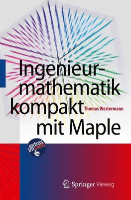 Ingenieurmathematik kompakt mit Maple (hftad)