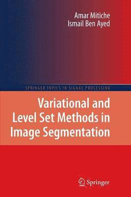 Variational and Level Set Methods in Image Segmentation (hftad)