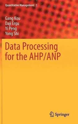 Data Processing for the AHP/ANP (inbunden)