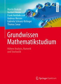 Grundwissen Mathematikstudium (e-bok)