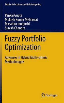 Fuzzy Portfolio Optimization (inbunden)