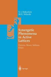 Synergetic Phenomena in Active Lattices (häftad)