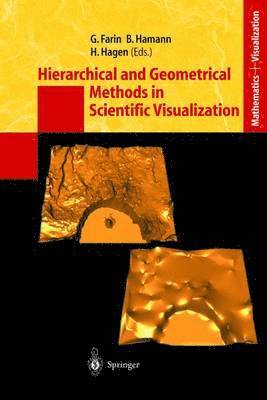 Hierarchical and Geometrical Methods in Scientific Visualization (hftad)