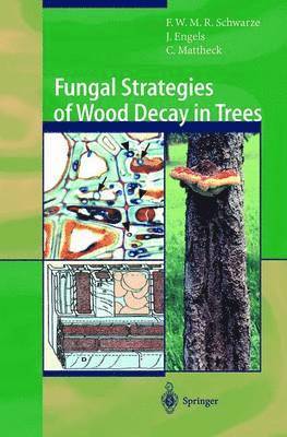 Fungal Strategies of Wood Decay in Trees (hftad)
