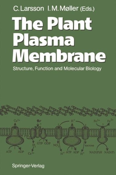 Plant Plasma Membrane (e-bok)