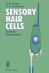 Sensory Hair Cells