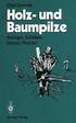 Holz- und Baumpilze